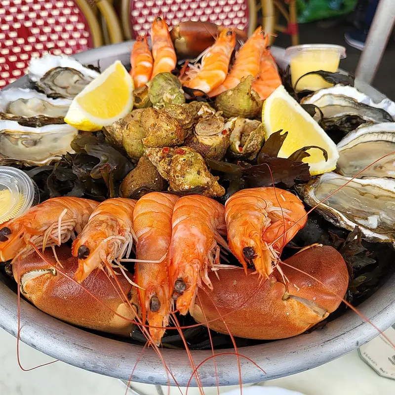 Bereide schotel met scampi en oesters